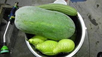 吃瓜网今日吃瓜热门大瓜谭竹