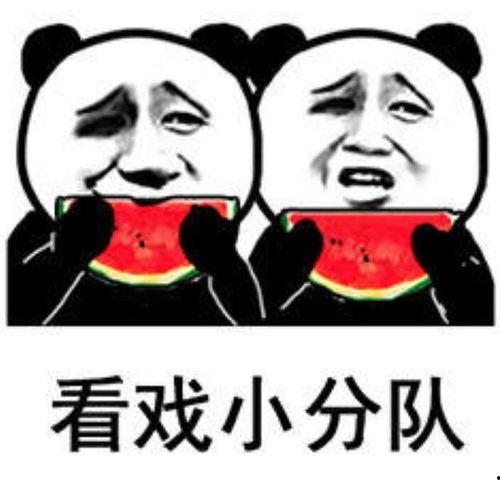 表情包里面吃瓜是什么意思
